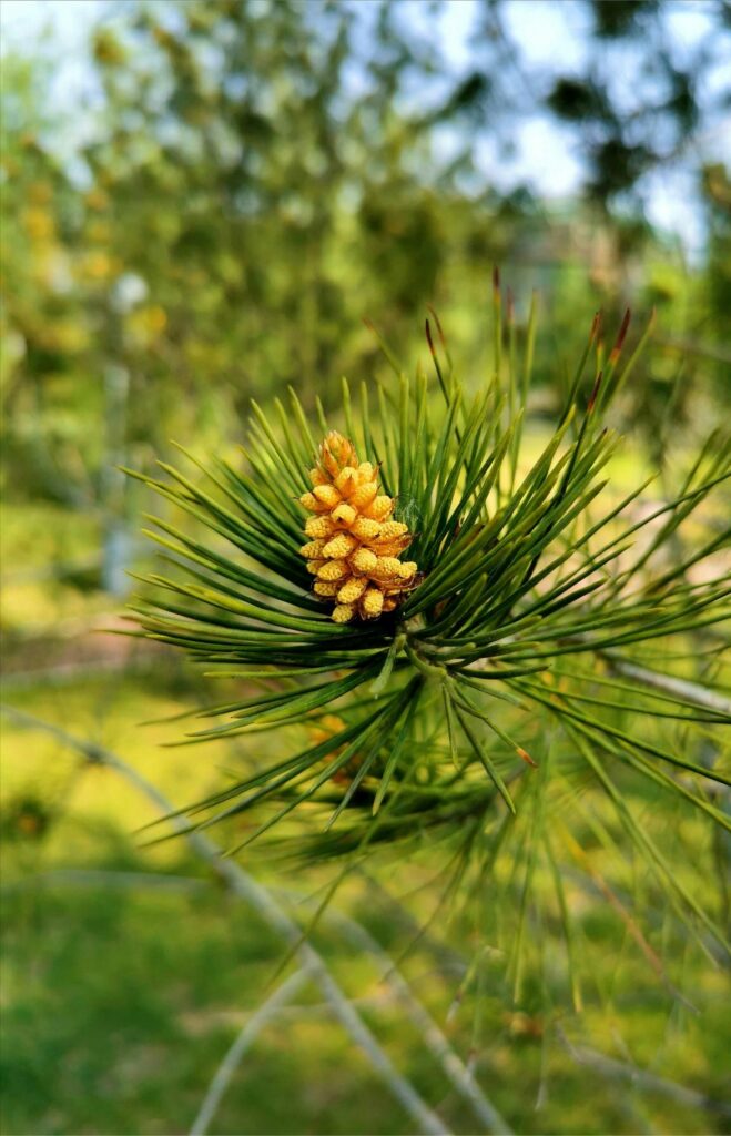 TRÆVÆRKSTED 5 | | TRÆVÆRKSTED | Huset Venture | En socialøkonomisk virksomhed